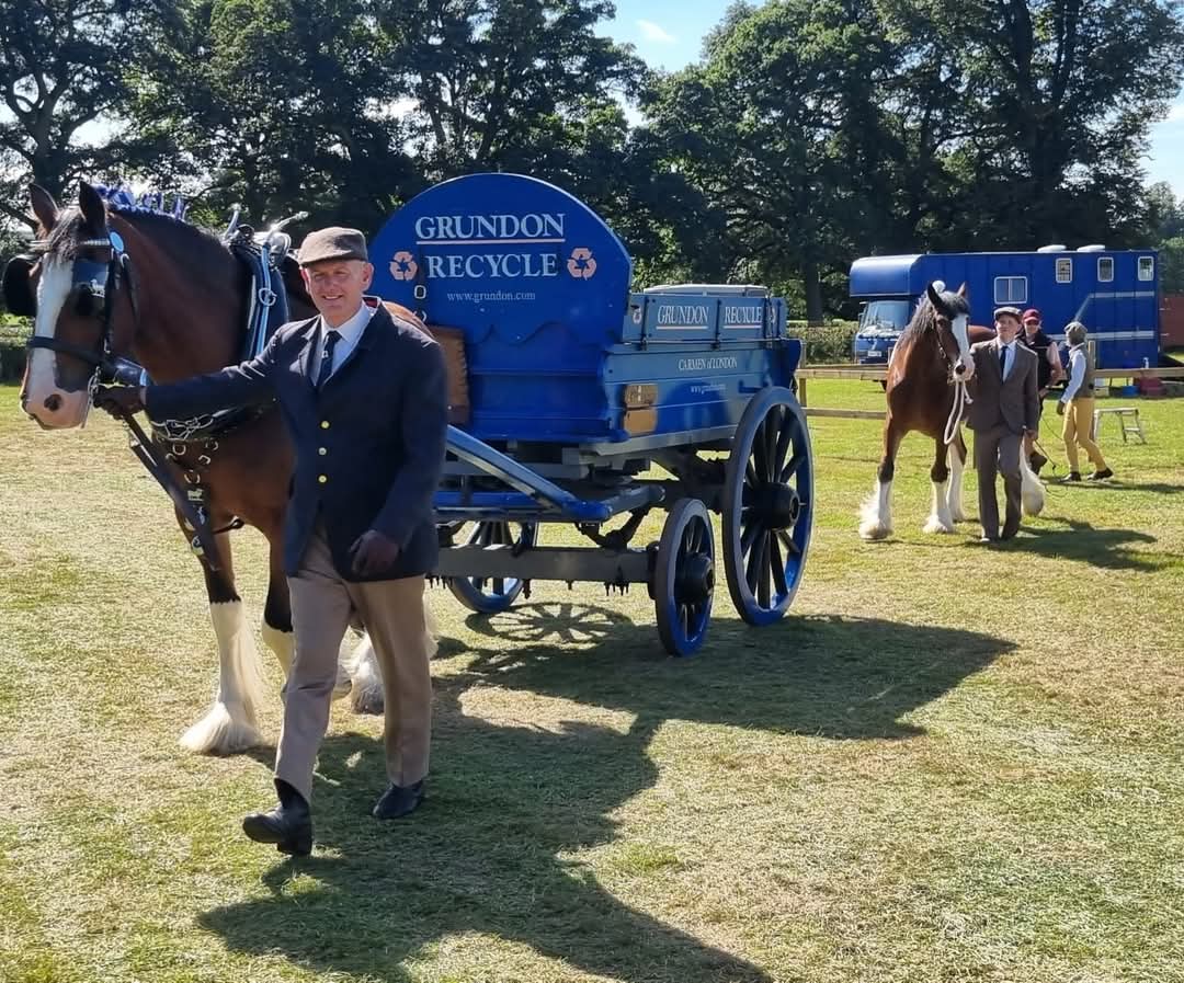 Shire horses at corporate event